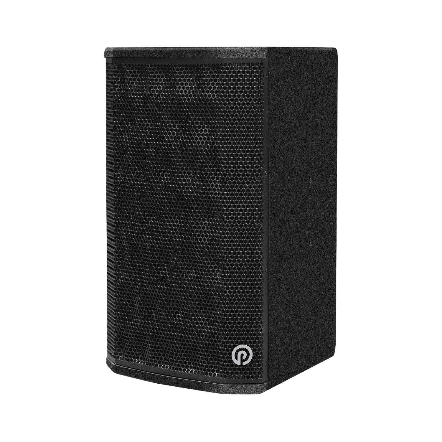 Pure Acoustics Atlas Pro 10" Proffessional Speaker